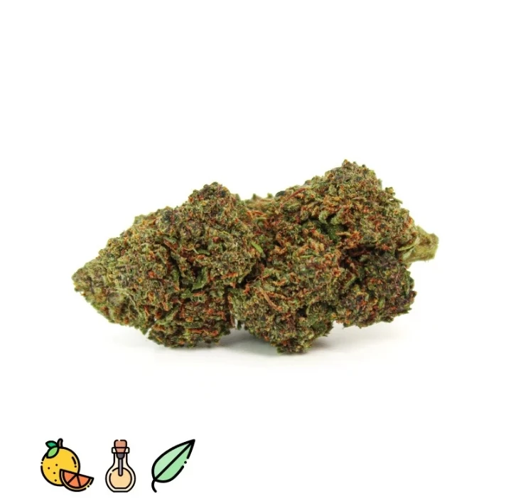 SOUR SHERBET 10.OH +