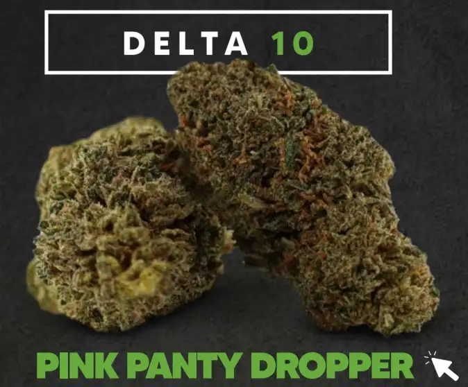 PINK PANTY DROPPER D10 50%